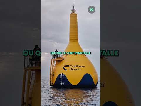 🌊 CorPower Ocean : Cette bouée géante transforme les vagues en électricité ⚡