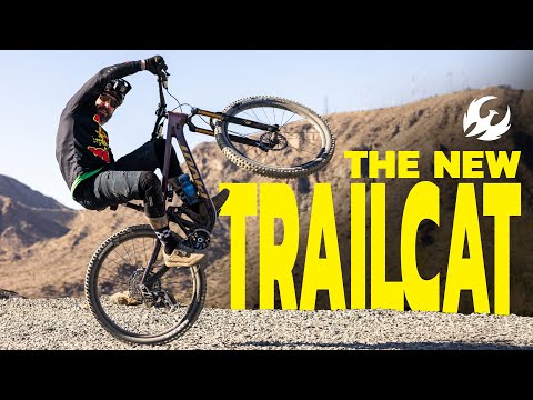 BYE BYE Trail 429 - Pivot Trailcat Meowvin In #mtbtech