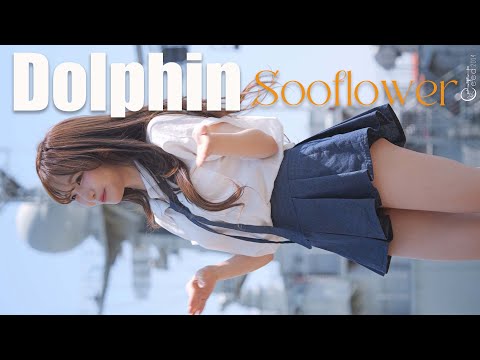 250518 수련수련 Sooflower 'Dolphin' @망원한강공원 버스킹 6K 60P 직캠