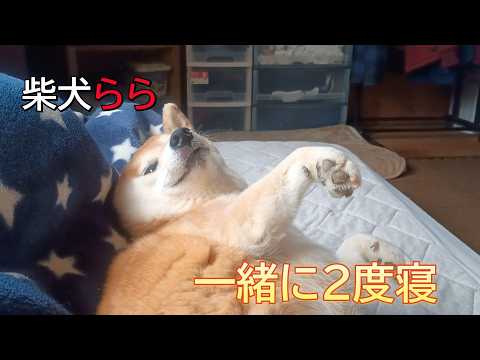 一緒に2度寝