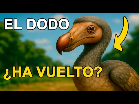 El Dodo: El Ave que Confió Demasiado y Pagó con su Extinción 🦤