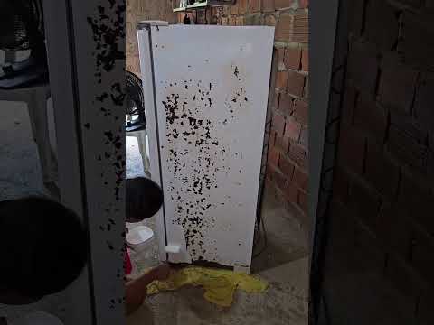 RESOLVI PINTAR A MINHA GELADEIRA