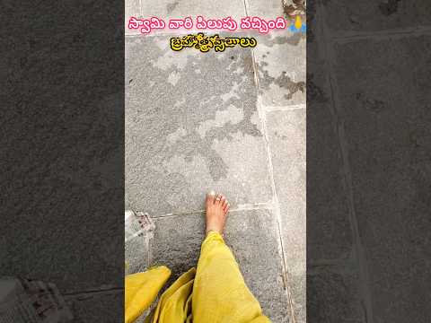 😍స్వామి వారి పిలుపు అయితే వచ్చింది #trending #shorts #shortsfeed #viralvideo #ytshorts