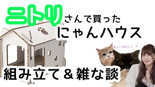 【雑な談＆組み立て配信！】にゃんずに爪とぎハウスをプレゼントッ！！！！！！【人間】