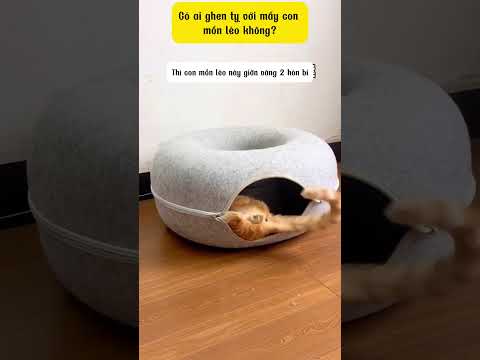 Có ai như tui hông #thinhhanh #haihuoc #gift #love #love #lovestory #funny