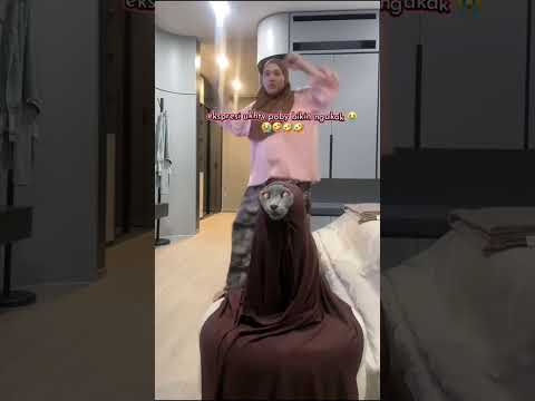 ukty poby #semuaorang #kucing #pororo #fypシ #kucinglucu #fypシ゚viral #cat