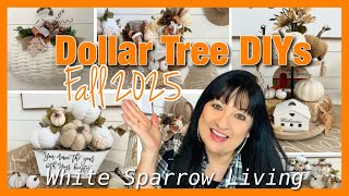 🍁 STUNNING DOLLAR TREE DIYS FOR FALL! FARMHOUSE HOME DECOR ON A BUDGET!