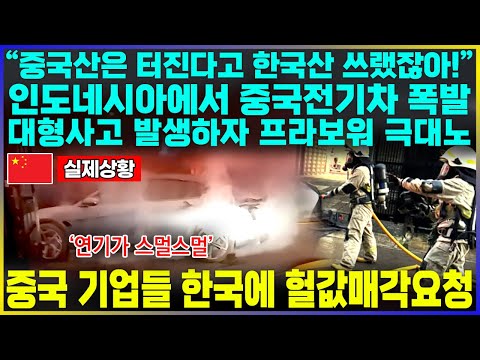 "중국산은 터진다고 한국산 쓰랬잖아!" 인도네시아에서 중국전기차 폭발 대형사고 발생하자 프라보워 극대노 / 중국 기업들 한국에 헐값매각요청