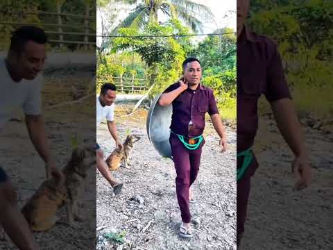 Sin miedo a nada 🤣🤣 #viralvideo #humor #comedia #trending #reelsviral #shorts #viral