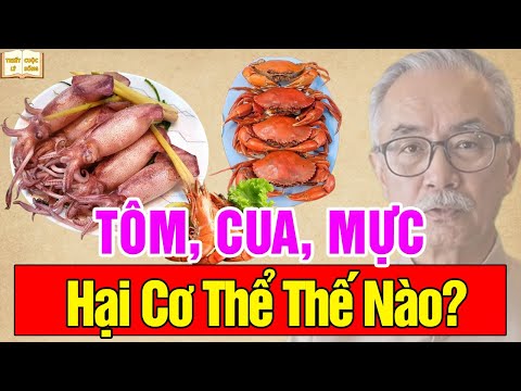 Tôm cua mực gây hại cơ thể thế nào? Sự thật ít người biết