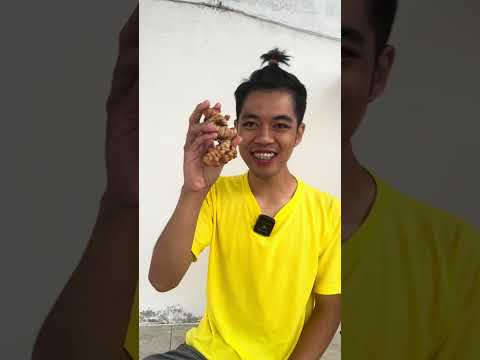 DOCA DAN KAWANNYA ADU WARNA LIDAH👅🤣!