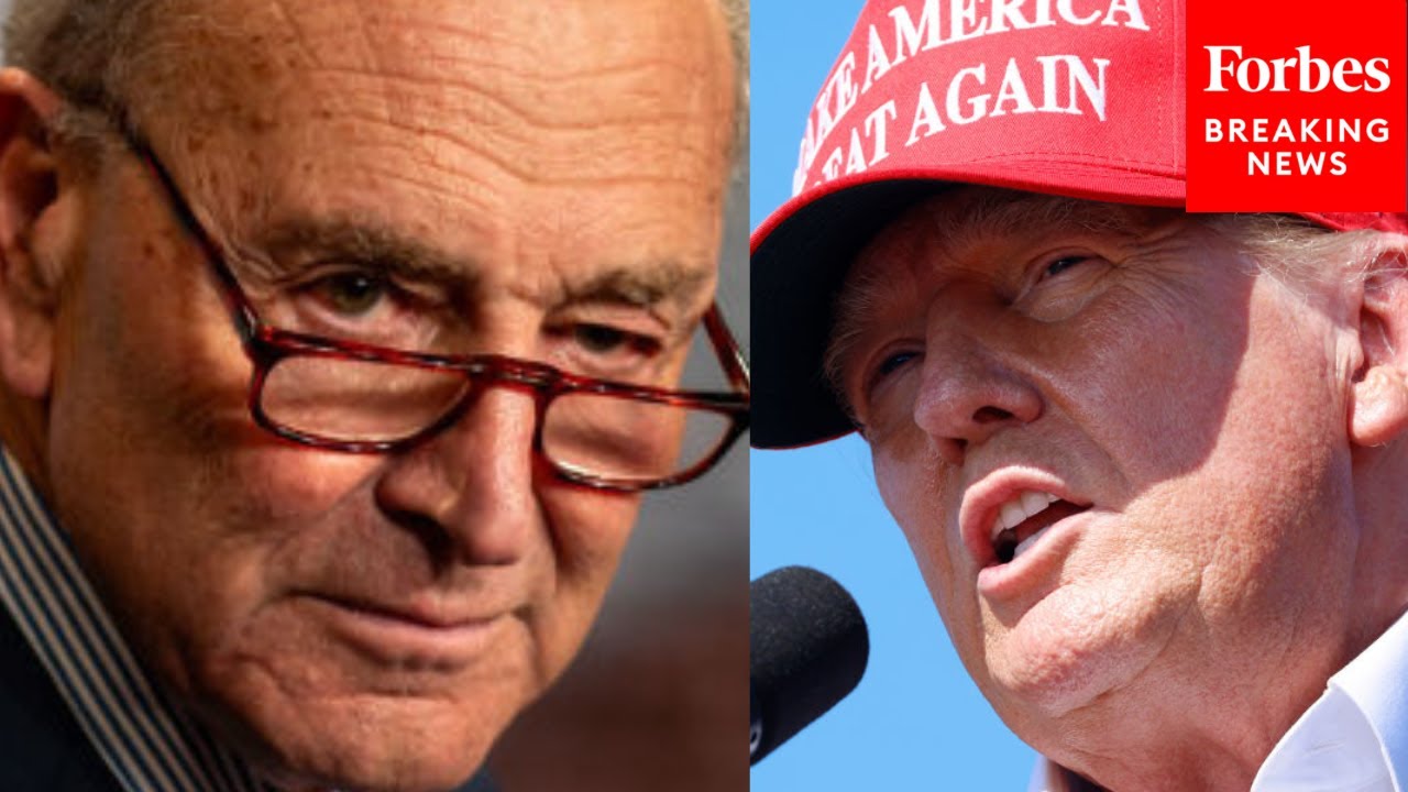 ‘It’s Bone-Chilling, It’s Un-American’: Chuck Schumer Rails Against Trump ‘Manifesto’ Project 2025