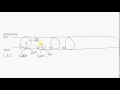 Electron Transport Chain Concepts