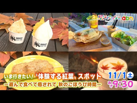 いま行きたい!“体験する紅葉”スポット ~遊んで食べて癒されて 秋のごほうび時間~(駅テレマルシェ / 2025年11月...