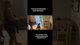 Out Of Control Cane Corso Attacks Owner..