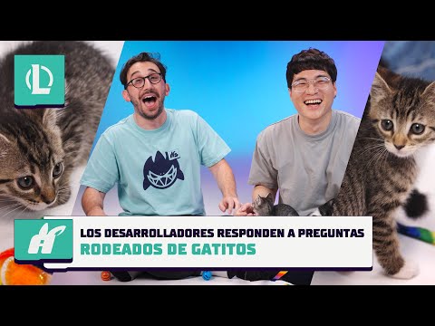 Los desarrolladores contestan preguntas rodeados de gatitos | League of Legends