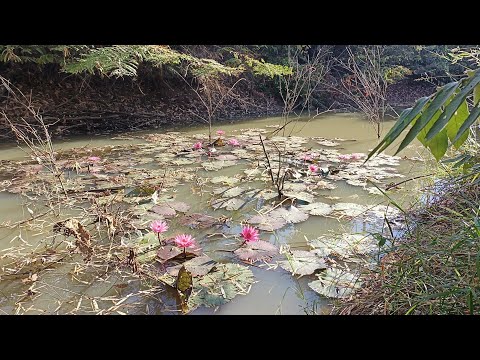 อยู่แบบนี้ มีความสุขที่สุด