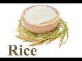 Understanding Food Identification
