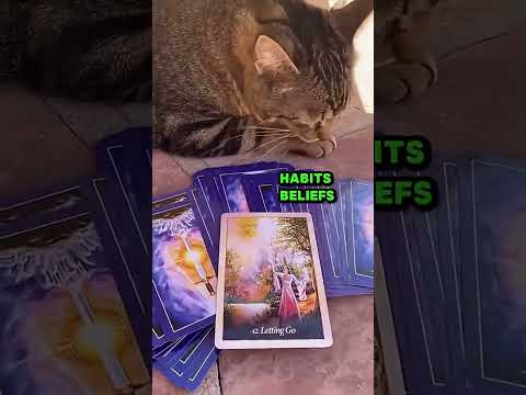 June New Moon Message For You Now 😻 🌑💛✨