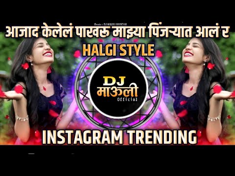 आजाद केलेलं पाखरू माझ्या पिंजऱ्यात आलं रं 🕊️ तुफान ट्रेडिंग सॉंग 💔 HALGI STYLE | Trending Dj Mauli