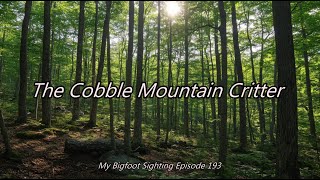 The Cobble Mountain Critter - My Bigfoot Sighting Episode 193