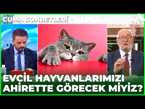 Kedim Yedirdiğim Bisküvi Yüzünden Öldü | Cuma Sohbetleri