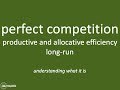 Understanding Perfect Competition