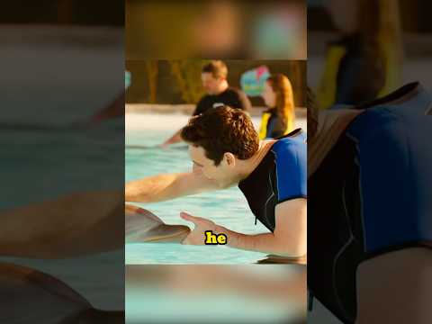 The man fed the dolphin,but as a result, the dolphin died
