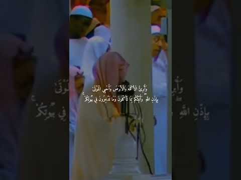 ألشيخ سعود الشريم