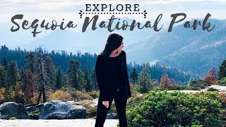 EXPLORE | SEQUOIA NATIONAL PARK (DAY TRIP)