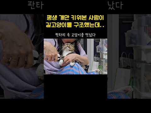 험한 길생활도 바꾸지 못한 고양이의 타고난 성격