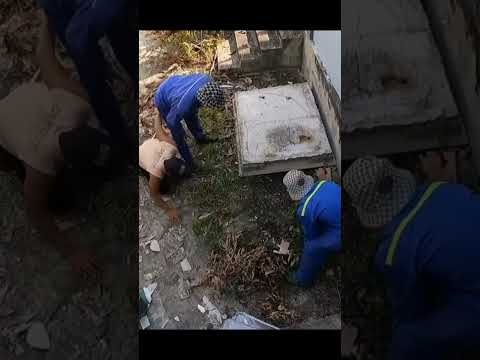 Thanh Niên Quýt Bị Rắn Độc Cắn Vì Ngồi Lên Tổ