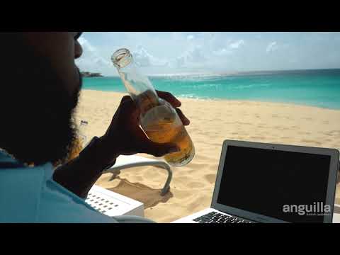 Work from Paradise