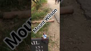 Mount Wilson Trail , Sierra Madre