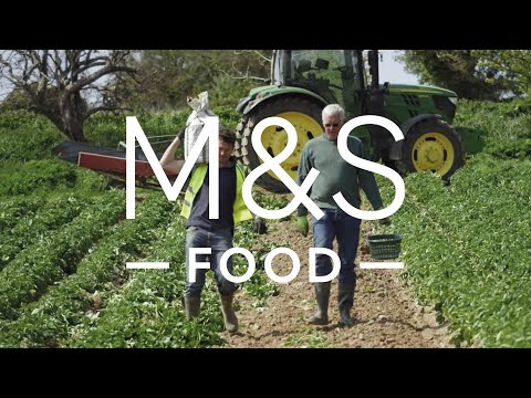marksandspencer.com & Marks and Spencer Promo Code video: Jersey Royal New Potatoes | Episode 2 | Fresh Market Update | M&S FOOD