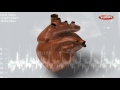 Understanding Motion and Measurement Concepts