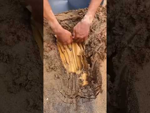Golden Soil Discovery in Action! 🌟⛏️ #shortvideo