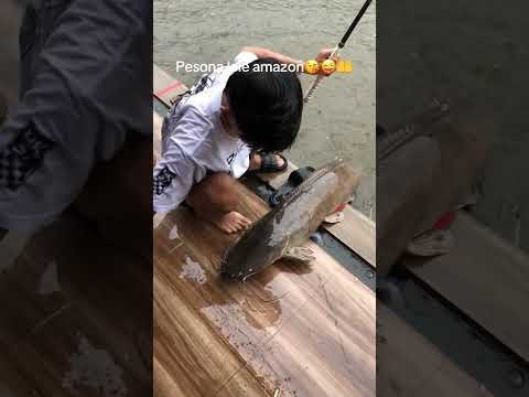 Ketika anak muda mendapatkan jackpots LELE PURBA #fishing #vlogpetualang  #hobbyikan #vlogmancing