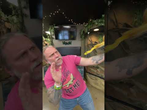 How To Mesmerize a Snake The Legacy Aquarium Official GoFundMe Page_ https_//www.gofundme.com/f/brian-barczyks-legacy-aquariu