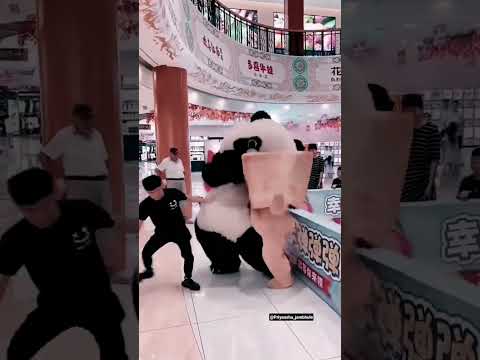 Like 💖 comment 💬 and share 💞 #shorts #viral #teddy #panda #funny #funnyvideos #youtubegood #explore