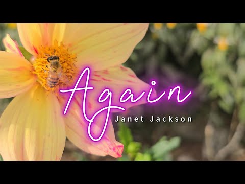 AGAIN – (Karaoke Version) – in the style of Janet Jackson