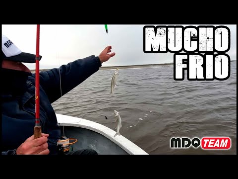 PESCA DE LAGUNA hace tanto FRIO que los peces salen CONGELADOS