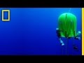 Exploring the Depths: Innovations in Diving