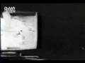 Black Panther Party Historical Insights