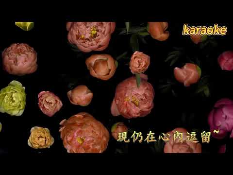 追憶 – 彭羚karaokeKTV 伴奏 左伴右唱 karaoke 卡拉OK 伴唱 instrumental追憶 – 彭羚karaoke