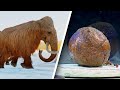 Mammoth Meatball Experiment Insights
