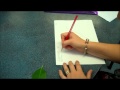 Biological Drawing Techniques and Guidelines