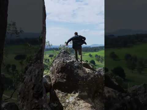 The feeling of Australian freedom! 🇦🇺🐨 #shorts