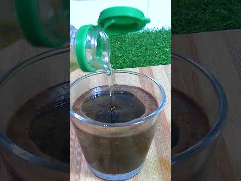 Elimina Mosquitos e insectos con ACEITE Y CAFÉ