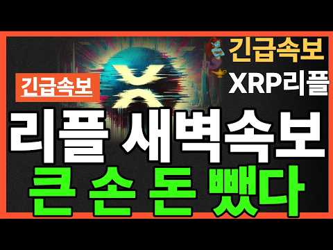 ※긴급뉴스※ “XRP-새벽속보 큰손 돈 뺐다"